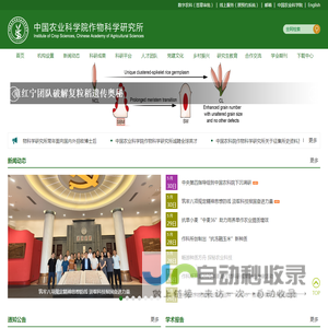 中国农业科学院作物科学研究所