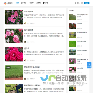 月季苗木批发基地_园林绿化苗木价格_花田园林