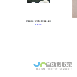 我爱狗狗