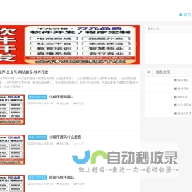 APP-微信小程序-公众号-网站建设-软件开发 - 公司