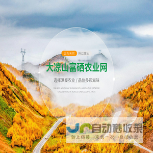 大凉山电商.cn_糖心苹果_盐源苹果_富硒苹果_盐源县洪泰农业发展有限公司