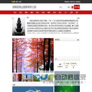 湖南阳明山国家森林公园-  森林旅游