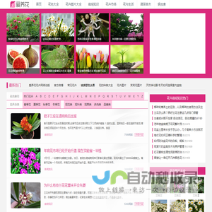 爱养花iYangHua_花卉网_养花知识_花卉图片大全_花卉图片及名称大全