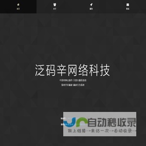 泛码辛网络科技