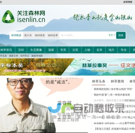 关注森林