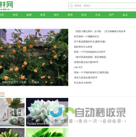 绿林网 - 绿色林业植物大全_绿色植物综合门户