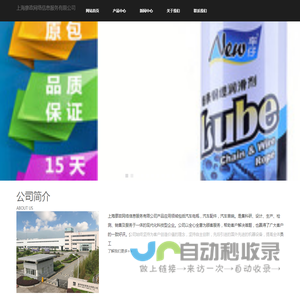 上海廖政网络信息服务有限公司