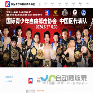 国际青少年自由搏击协会