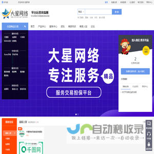 大星网络 - 多乐星旗舰店