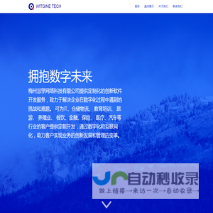 慧擎网络科技 - 专业软件开发服务提供商