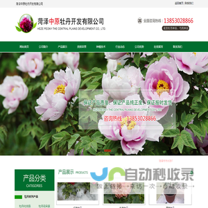 牡丹,牡丹苗-菏泽中原牡丹开发有限公司