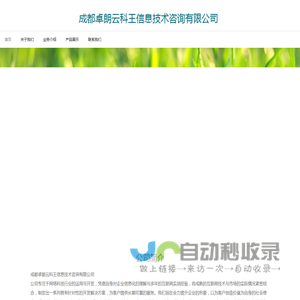 成都卓朗云科王信息技术咨询有限公司