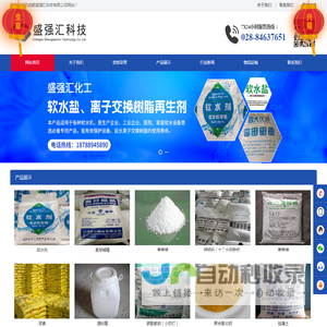 成都盛强汇科技有限公司