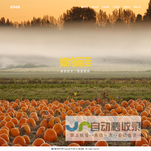待ta归来