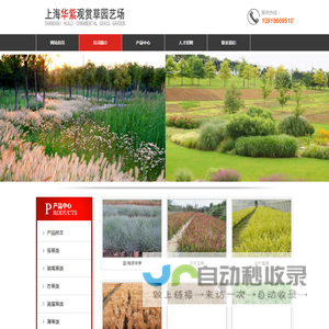 上海华紫观赏草园艺场