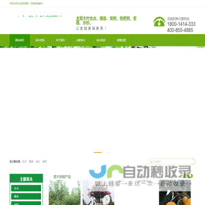 东台陆艺园林-主营女贞银杏栾树枇杷紫薇水杉-1800-1414-333