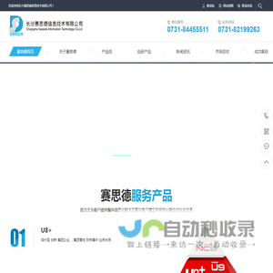 长沙赛思德信息技术有限公司_从事用友软件交付和企业管理咨询_咨询实施