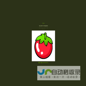个人技术分享