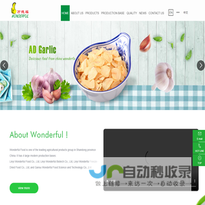 Linyi Wonderful Food Co., Ltd.