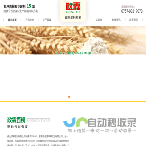 佛山政霖面粉有限公司
