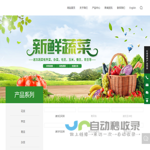 南通市志堂农副产品有限公司_速冻蔬菜,冻青豆,冻花菜,冻荠菜,冻玉米,冻杂菜