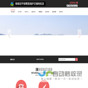 海口火山榕、竹子、垂叶榕绿篱围墙_海南冠平庭院绿化公司