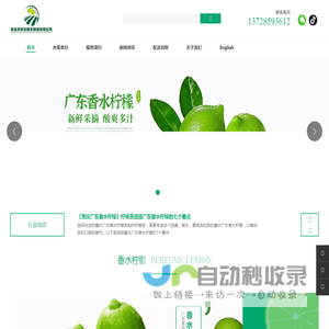 广东香水柠檬-四会市中农穗丰种植有限公司