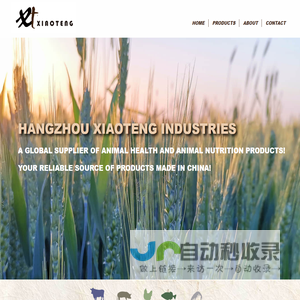 Hangzhou Xiaoteng Industries