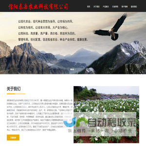 首页 - 信阳泰岳农业科技有限公司