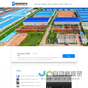 Cangzhou Longtaidi Pipe Technology Co., Ltd.