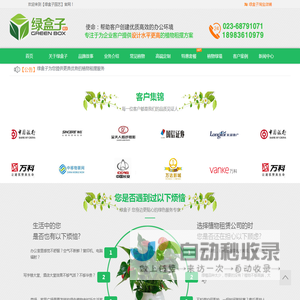 重庆植物租赁-办公室绿植盆栽租摆公司-重庆绿盒子园艺_重庆植物租赁-办公室绿植盆栽租摆公司-重庆绿盒子园艺