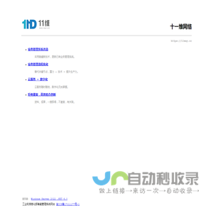 十一维网络