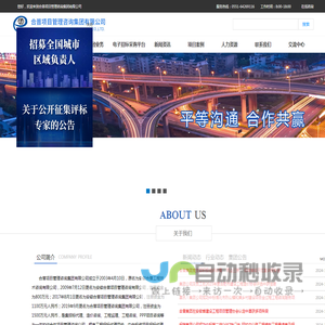 合普项目管理咨询集团有限公司