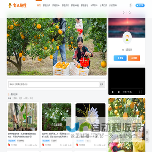 安远脐橙网-江西赣南脐橙批发、零售、代理综合信息平台