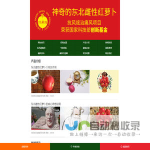 抗风竤·东北雌性红萝卜官网|抗风红东北雌性大红萝卜
