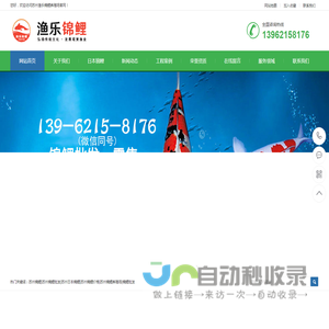 苏州渔乐锦鲤养殖场-日本锦鲤批发价格锦鲤鱼,苏州锦鲤,苏州锦鲤批发,苏州日本锦鲤,苏州锦鲤价格,苏州锦鲤养殖场,锦鲤批发