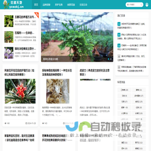 花趣天地-缤纷花卉，精心养护的多彩世界