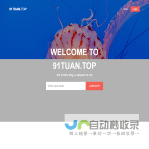 91tuan.top — Free Website Template, Free HTML5 Template