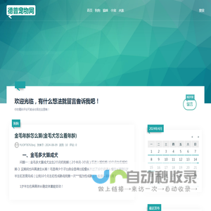 - 德普宠物网