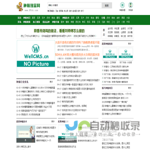 89农业窗-89农业网-农业种植技术大全-种植什么最赚钱！