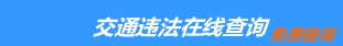 （手机版）岳阳交通违章查询-岳阳违章查询网
