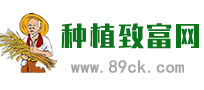 89农业窗-89农业网-农业种植技术大全-种植什么最赚钱！