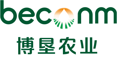 首页-博垦