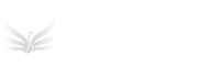 淡淡资讯