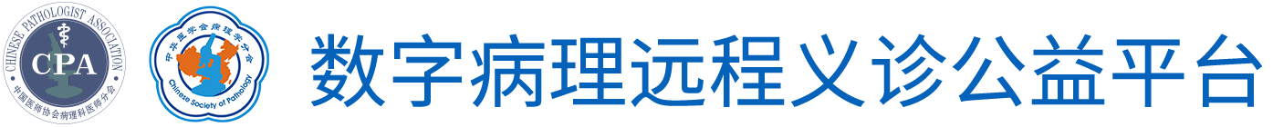 数字病理义诊公益平台