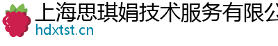上海思琪娟技术服务有限公司