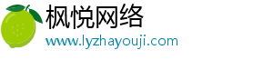 沙坪坝区枫悦网络技术工作室（个体工商户）