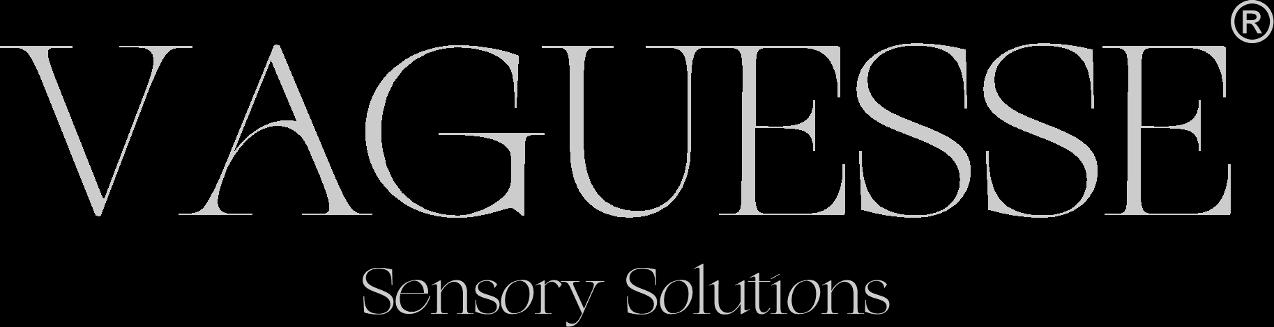VAGUESSE 轩禾微诗-感官营销解决方案
