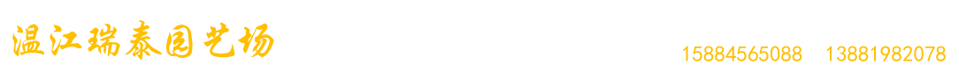 首页--温江瑞泰园艺场