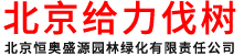 北京给力伐树_北京恒奥盛源园林绿化有限责任公司_北京给力伐树,北京修树,北京移树,园林绿化